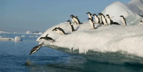 How to Use Social Proof on your Website