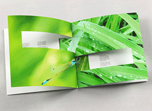 impact_booklets