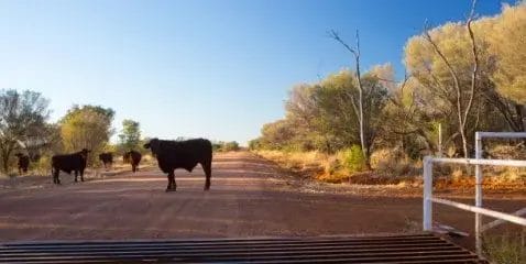 Buying a Rural or Regional Business