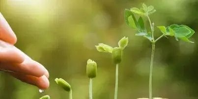5 Easy Ways to Grow Your Franchise