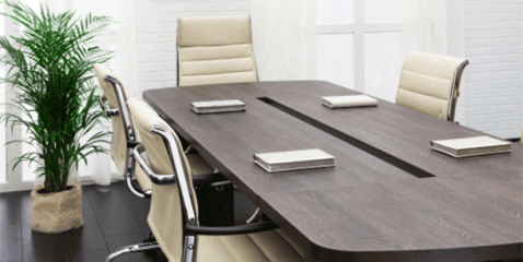 Increase your Office’s Productivity with Plants