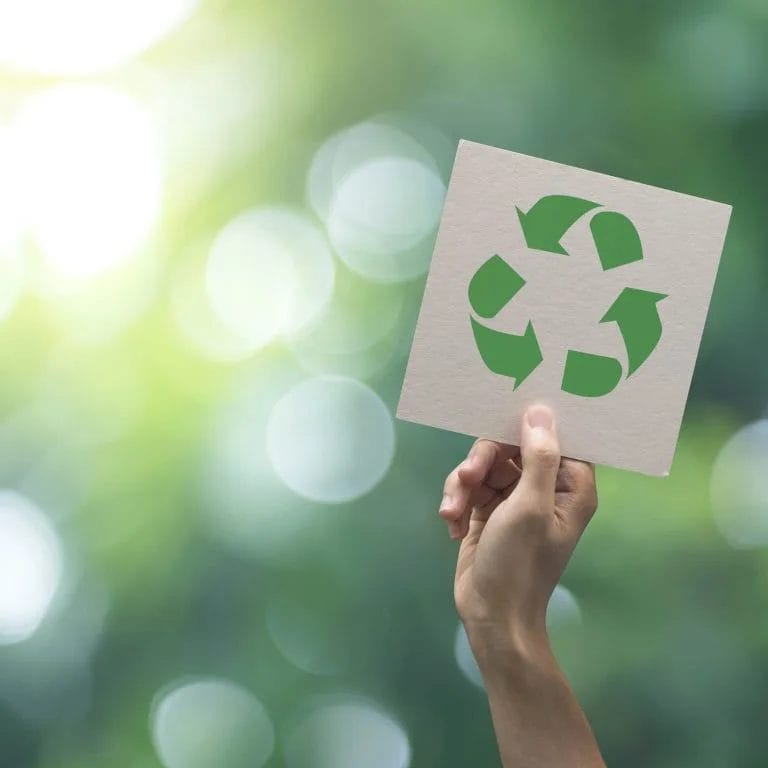 Paper Facts: Five facts you didn’t know about paper