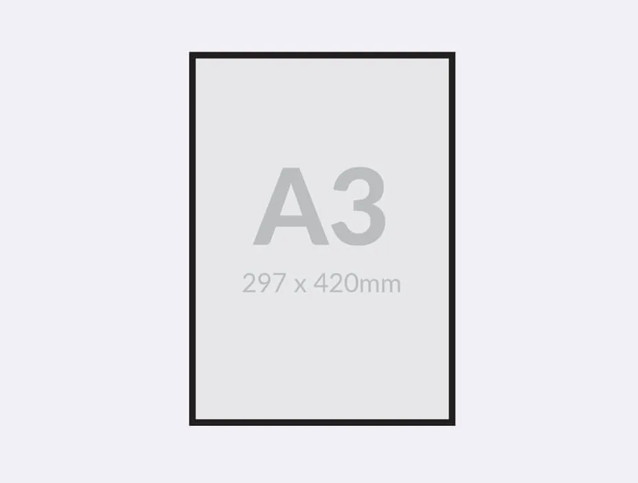 A3