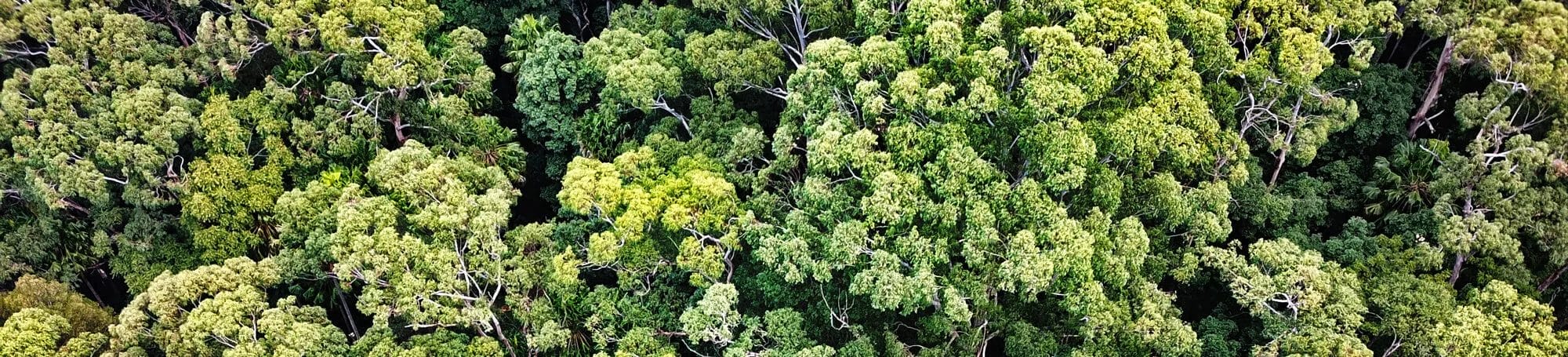 Environmental Statement