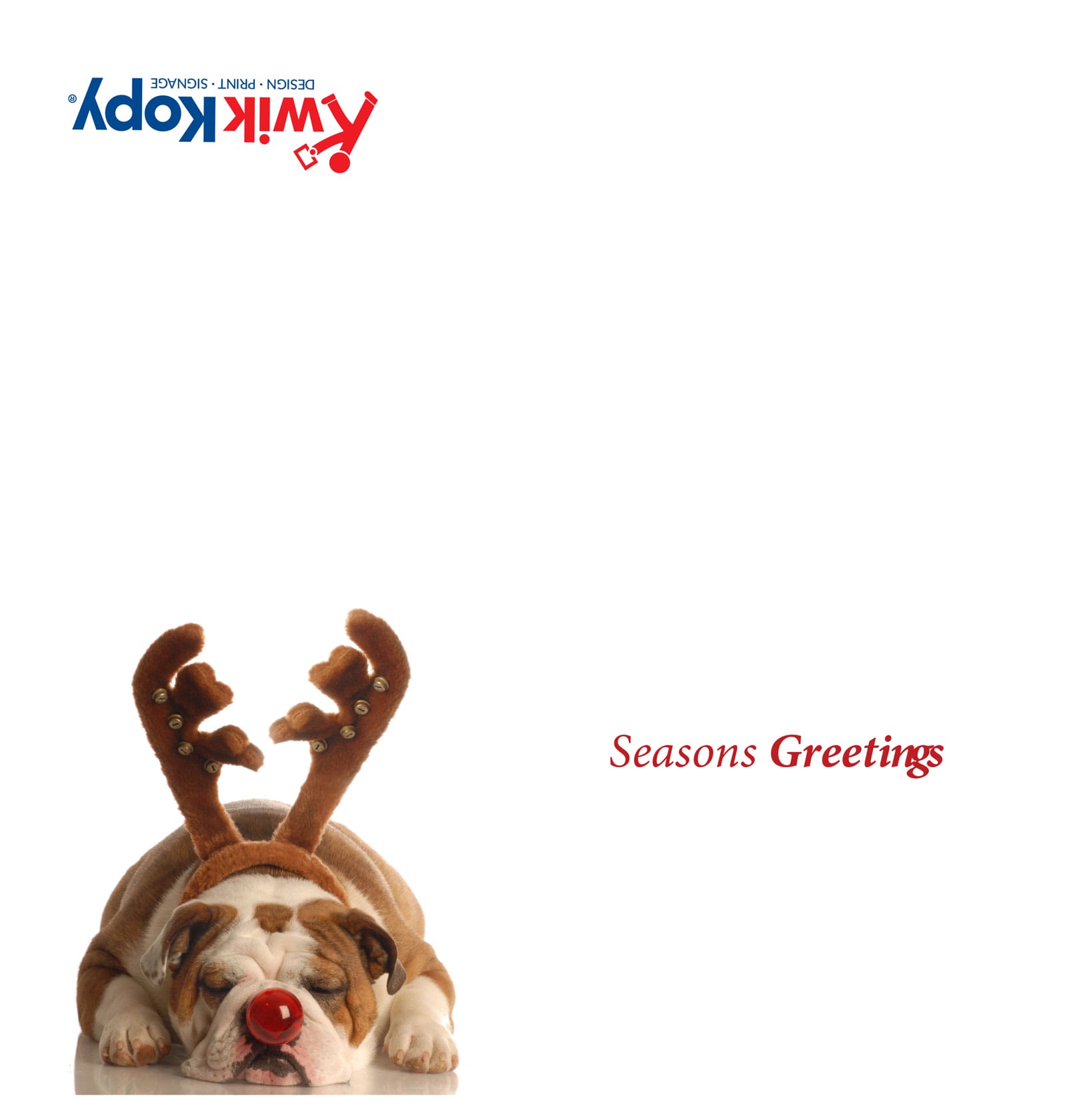 KK42 Reindeer Dog Card
