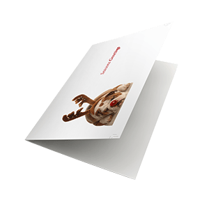 KK42 reindeer dog mockup